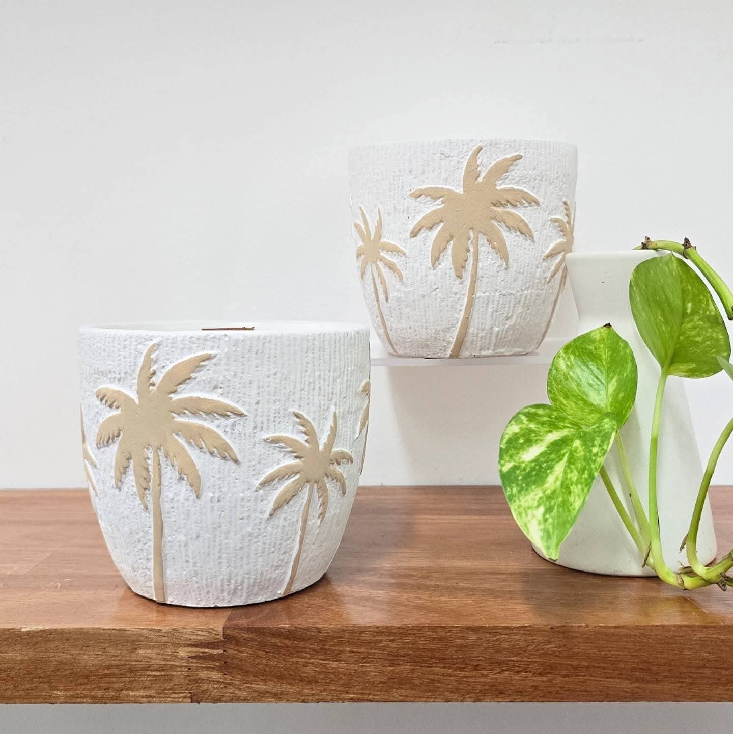 Palm Candle