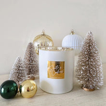 Christmas Collection | Signature