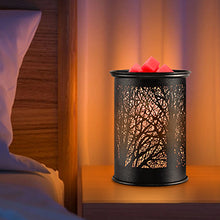 Electric Melt Warmers