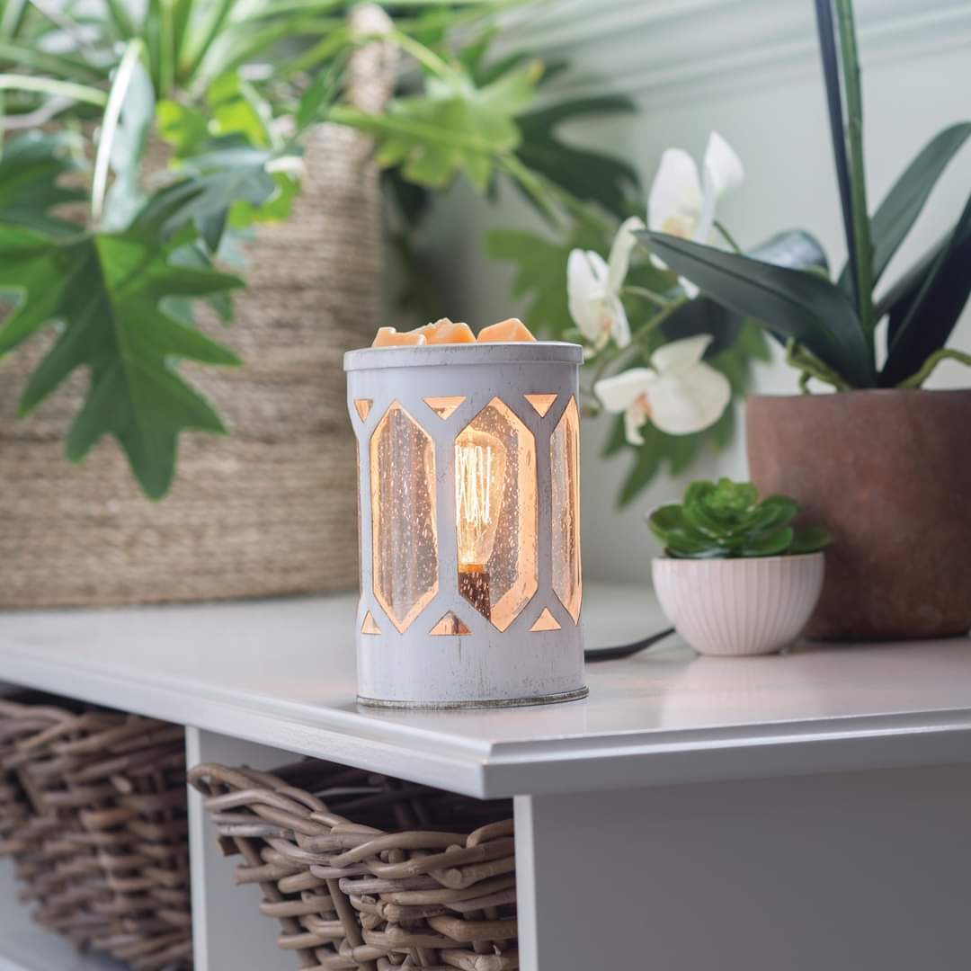 Electric Melt Warmers